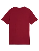 Detské tričko Puma ESS Small No.1 Logo Centered Tee, hnedé, 692975, veľkosť 23