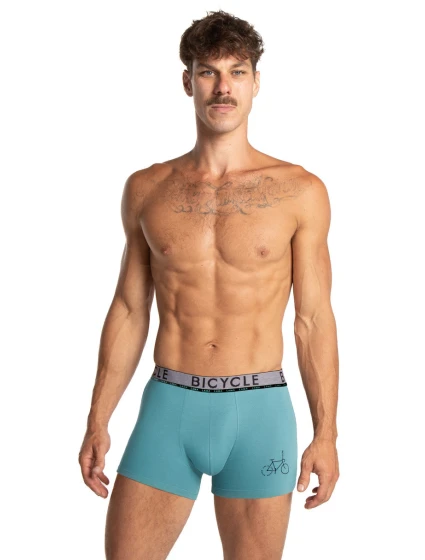 PÁNSKÉ ŠORTKY model 21318226 2PACK - Lama