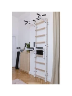 GYMNASTICKÝ REBRÍK S HRAZDOU A ZÁBRADLÍM NA CVIČENIE NA LAVIČKE 722W