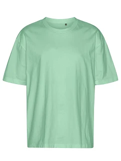 T Oversize bio IC tričko "Tiger" dusty mint model 22417344 - Neutral