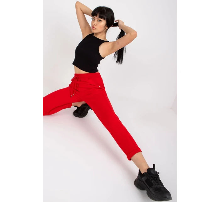 Teplákové nohavice model 166015 BFG