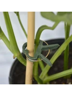 SPONKY NA RASTLINY 20KS PROGARDEN