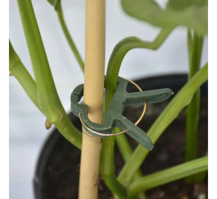 SPONKY NA RASTLINY 20KS PROGARDEN