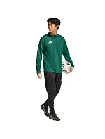 Pánske tričko adidas Entrada 26 Training Top green KE9823 pánske