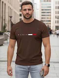 Pánske bavlnené tričko s nápisom PARIS, hnedé, FashionStreet NX5139R