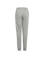 Kalhoty Tiro 24 Sweat Jr model 19654508 - ADIDAS Kalhoty Tiro 24 Sweat Jr model 19654508 - ADIDAS