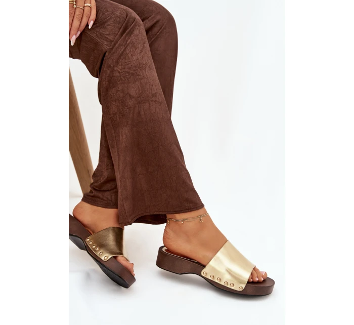 Dámské žabky se zlatými sponkami Terissa