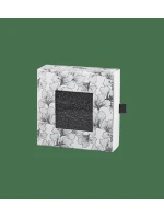 model 21234811 Socks 2 Pack Sheer UNKNOWN  UNKNOWN - Triumph