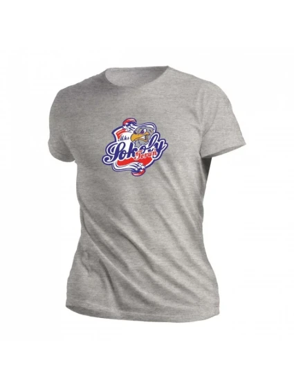 Falcons Jr SILVER-GRY3 dres