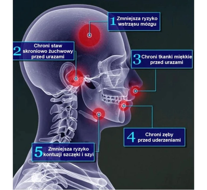 chránič + krabička bílá a modrá | model 21437995 - DBX Bushido