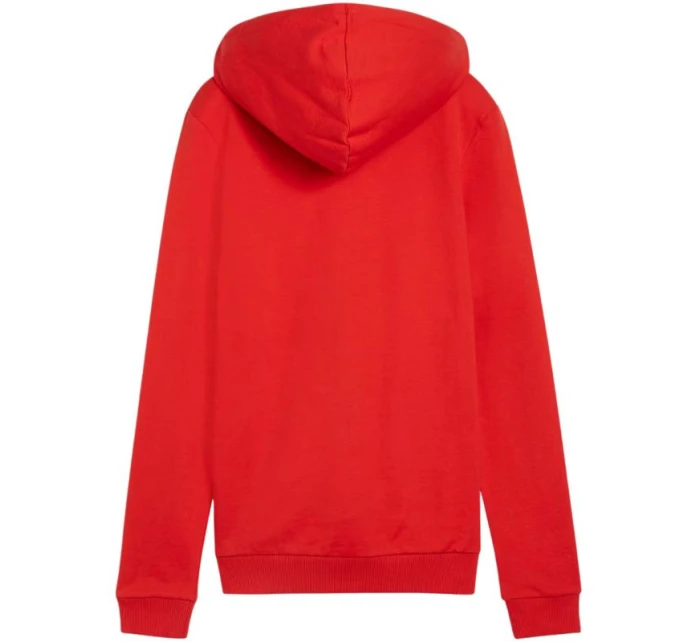 Puma Team Goal Casuals Hoody W 658621 01