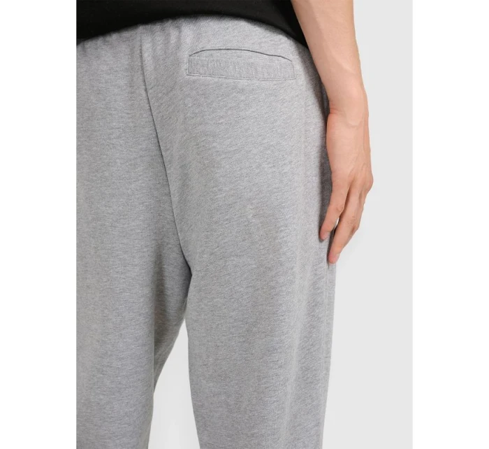 Pánske tepláky typu jogger 4F 4FRMM00TTROM1624-27M