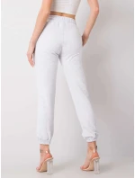 Tepláky RV DR 6120.03P svetlo šedá