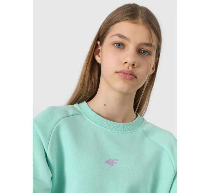 Mikina Jr model 19912480 - 4F