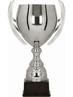 Stříbrný kovový pohár model 21827286