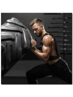 vesta model 21877136 - HMS vesta model 21877136 - HMS