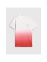 Pánské tričko s potiskem model 21815685 - 4F Pánské tričko s potiskem model 21815685 - 4F