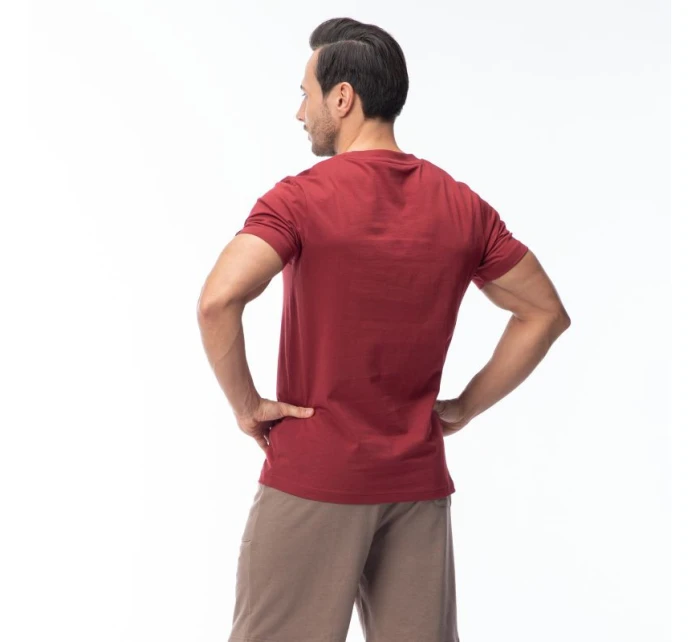 Pánske tričko s krátkym rukávom HAMILONI