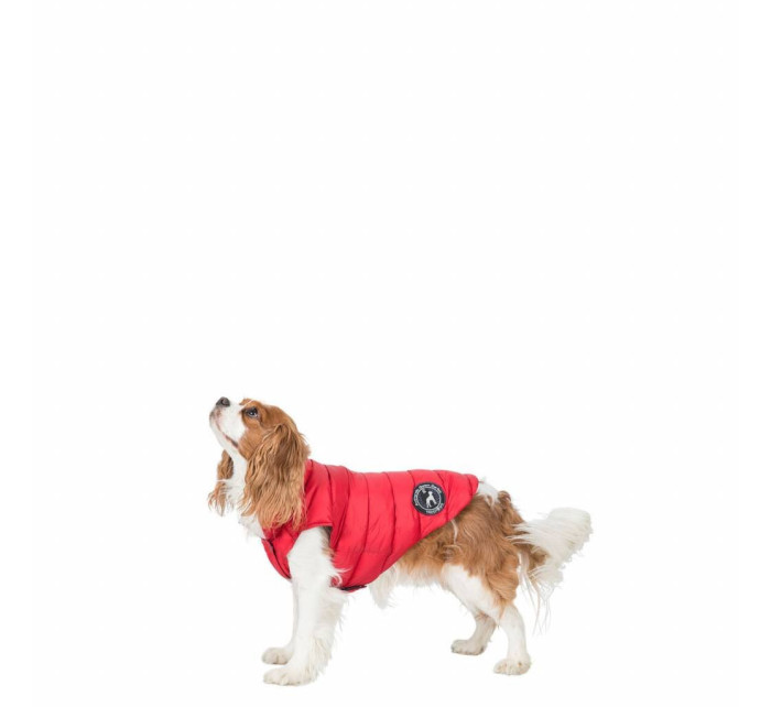 Oblek pre psa Trespass Dogby