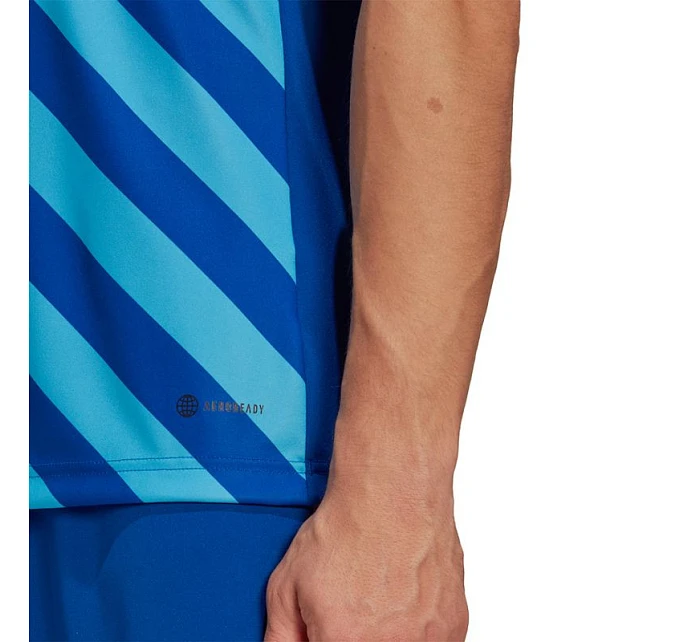 Pánsky dres Entrada 22 Graphic Jersey M HF0116 - Adidas