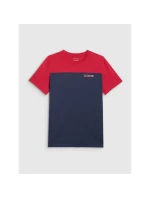 Pánske tričko s potlačou 4F 4FRAW25TTSHM3292-31S