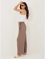 Spodnie CS SP model 22109846 brązowy - FPrice