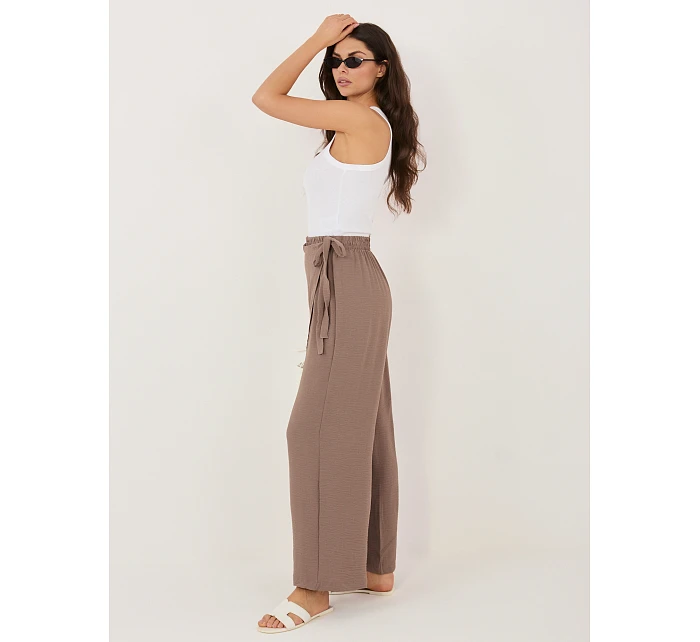 Spodnie CS SP model 22109846 brązowy - FPrice