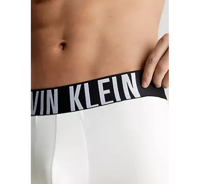 Pánské spodní prádlo TRUNK 3PK 000NB3608A100 - Calvin Klein