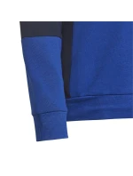 Adidas Colourblock Hoodie Jr HG6826