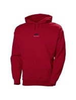 Hoodie M 162 model 18990140 - Helly Hansen