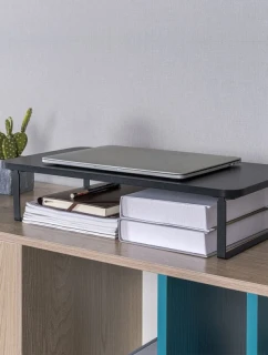 NA  20 model 21861539