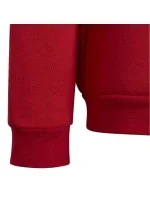 Detská mikina Entrada 22 Sweat Jr H57473 - Adidas