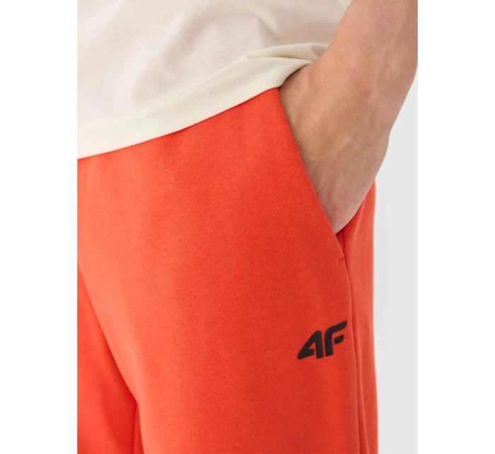 Pánské tepláky typu jogger model 21433039 - 4F