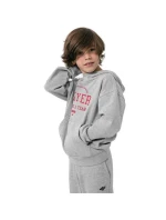Chlapecká mikina Jr HJZ22 model 17719523 27M - 4F