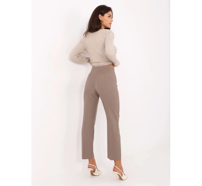 Spodnie IT SP model 21302508 ciemny bezowy - FPrice Spodnie IT SP model 21302508 ciemny bezowy - FPrice