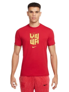 Tričko Nike Liverpool FC M HJ4268-687 pánske