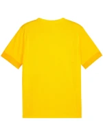 teamGoal Jersey M 07 pánské model 21283911 - Puma teamGoal Jersey M 07 pánské model 21283911 - Puma