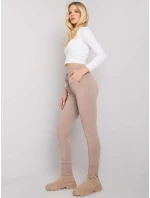 Tepláky RV DR 7358.06P tmavo lila