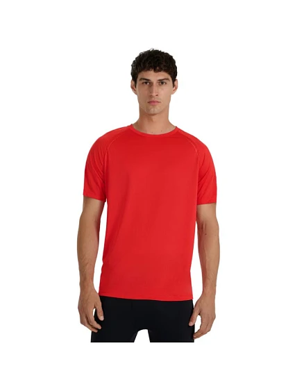 Tričko M  pánské model 21399266 - 4F