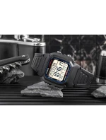 Pánské hodinky model 21804433 + krabice - CASIO Pánské hodinky model 21804433 + krabice - CASIO