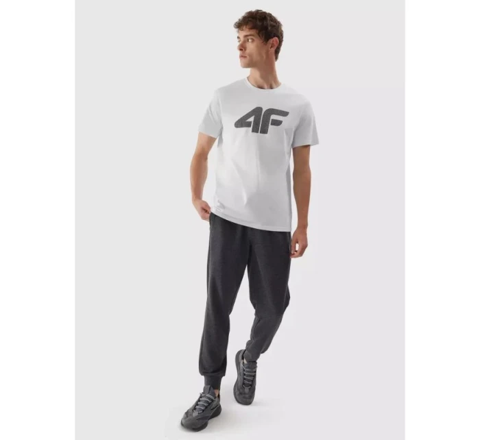 Tričko M model 21425007 pánské - 4F