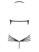 teddy kolor:black model 21957247 - beauty night