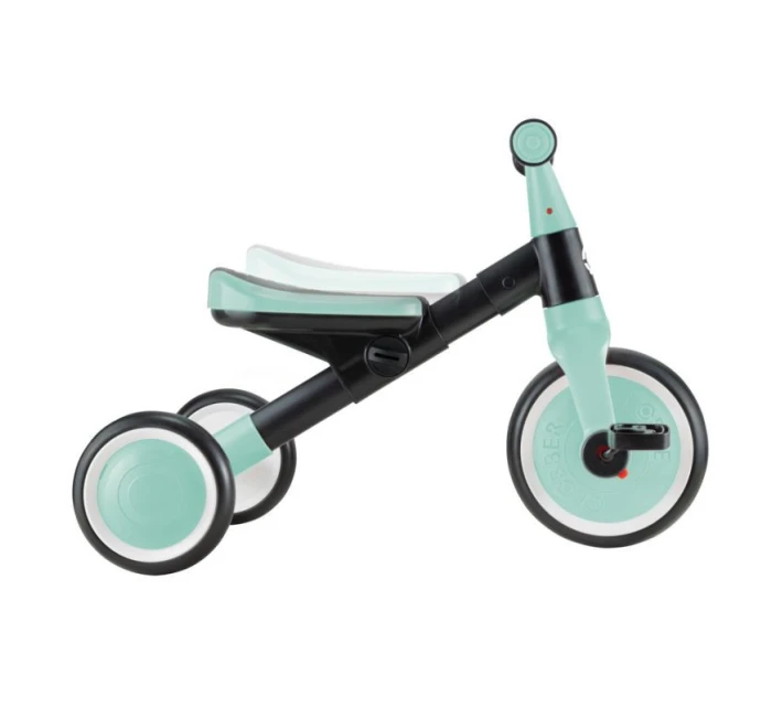 LEARNING TRIKE 2v1 (735-206)