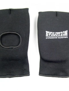 Evolution L model 21347888