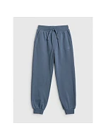 Chlapecké tepláky joggers model 22135757 dětské - 4F