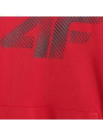 Mikina M pánské model 21399331 - 4F Mikina M pánské model 21399331 - 4F