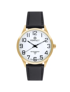 Pánské hodinky model 21805621 - PERFECT