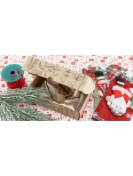 Nočná košeľa 9116 grey - Doctornap Nočná košeľa 9116 grey - Doctornap