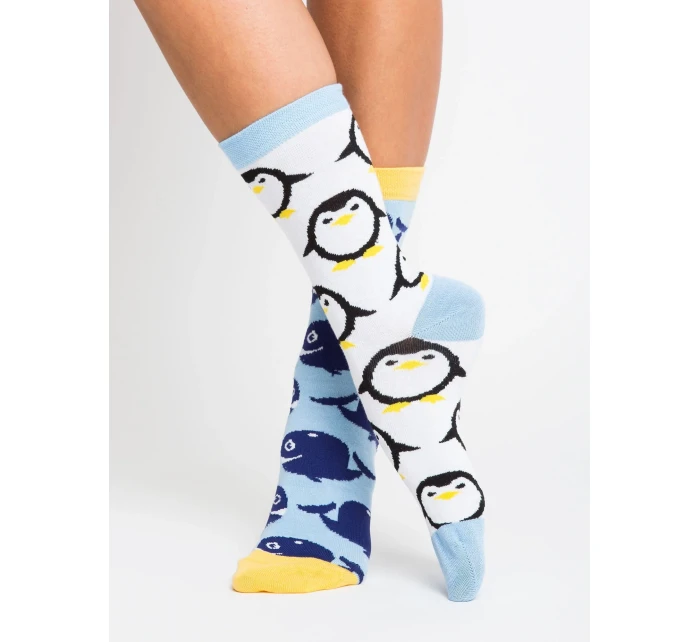 Ponožky WS SR 5542.08X viacfarebné