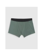 Pánské boxerky (2   92S model 21437491 - 4F